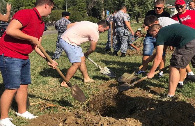 Omladina SD-a u ekološkoj akciji: Sadili masline i čistili smeće
