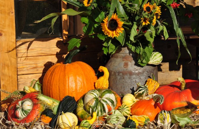 Sjutra počinje jesen