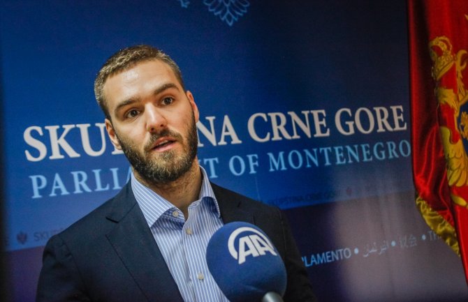 Rakočević: Krizu u Crnoj Gori će samo riješiti neka nova, evropska Vlada