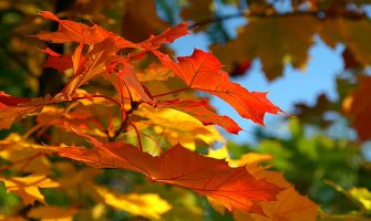 Stiže novi talas toplote u Evropu (FOTO)