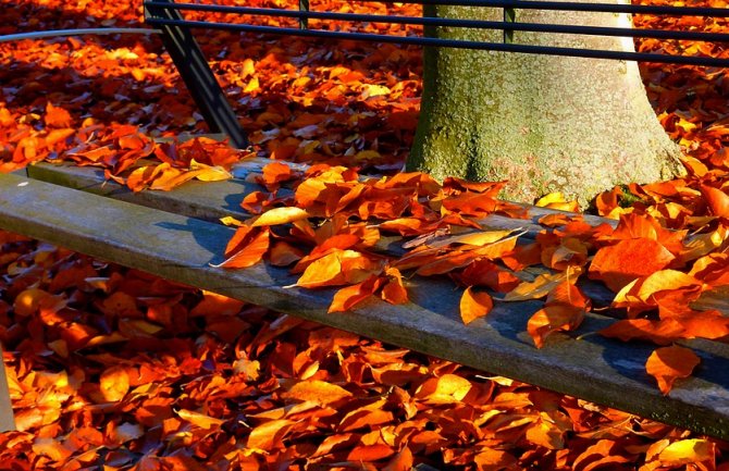 Danas pretežno sunčano, do 28 stepeni