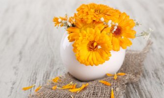 Neven lijek za kožu