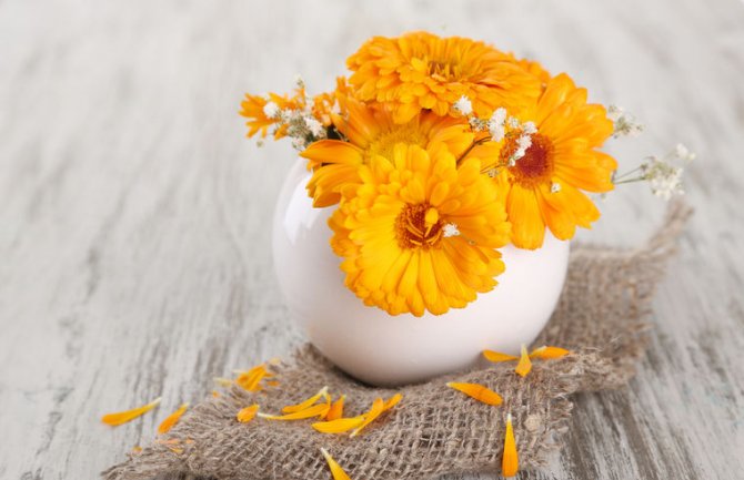 Neven lijek za kožu