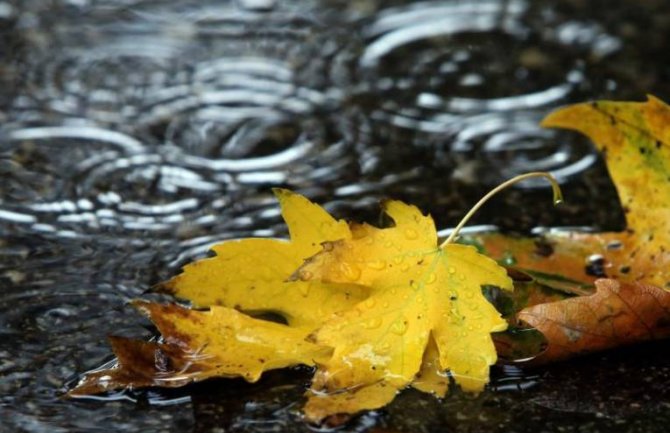 Slaba kiša, do 23 stepena