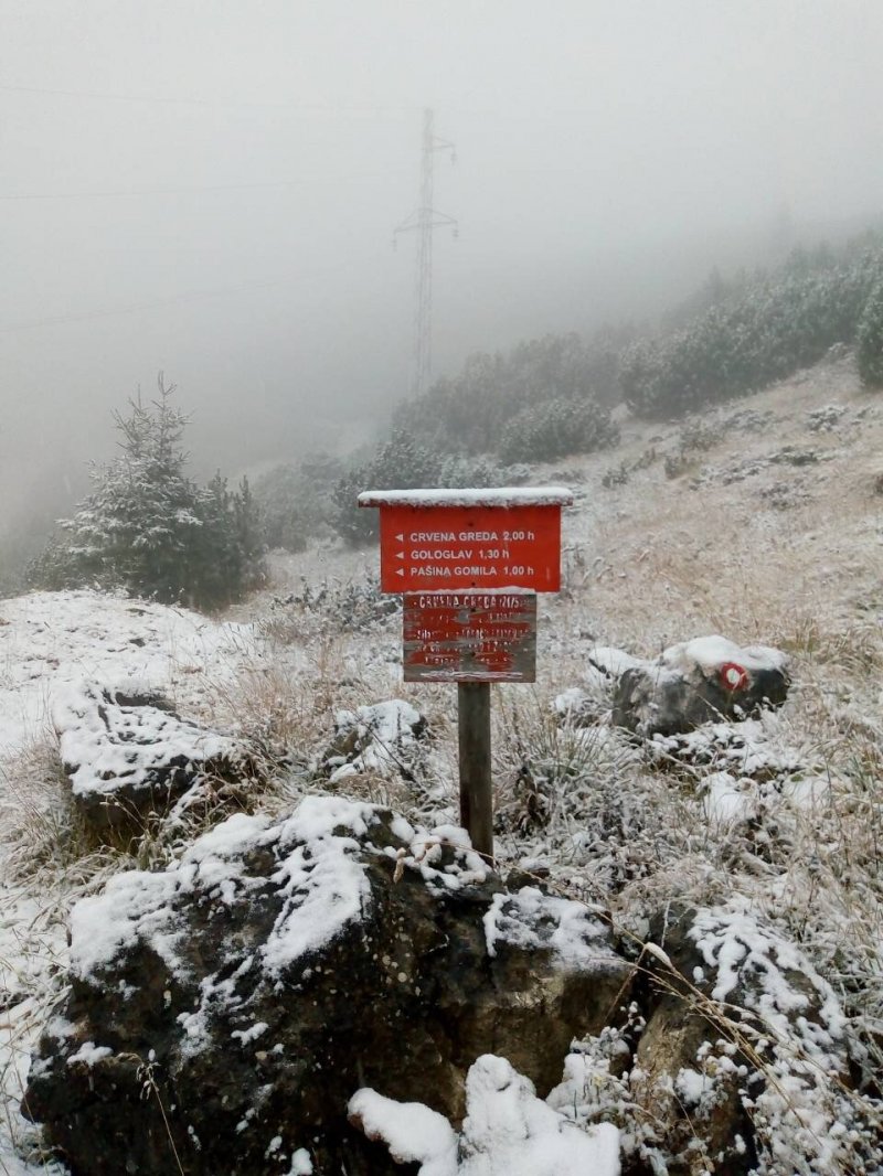 54bcf6b5d78c14fde932f24cfca00c9a