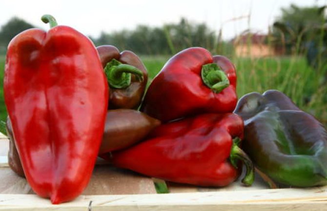 Zabranjen uvoz tona grožđa, paprika, šampinjona