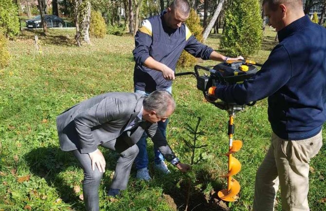 Za svakog stanovnika Crne Gore po jedna sadnica