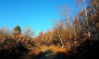 Danas oblačno sa dužim sunčanim intervalima