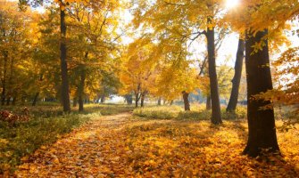 Za vikend lijepo vrijeme, do 21 stepen