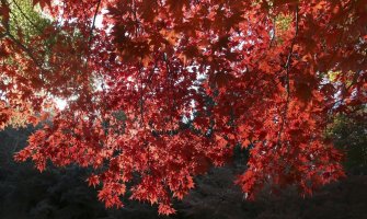 Pretežno sunčano, do 23 stepena