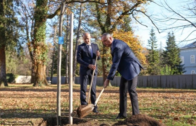 Univerzitet Crne Gore poklonio Cetinjanima sadnice lipe