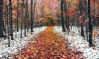 Slijedi pad temperature, zahlađenje i padavine