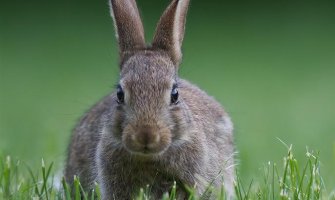 Promjenljivo oblačno, biće i sunca