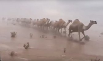 Poplave u Saudijskoj Arabiji: Voda prekrila pustinju, najmanje 30 mrtvih (VIDEO)