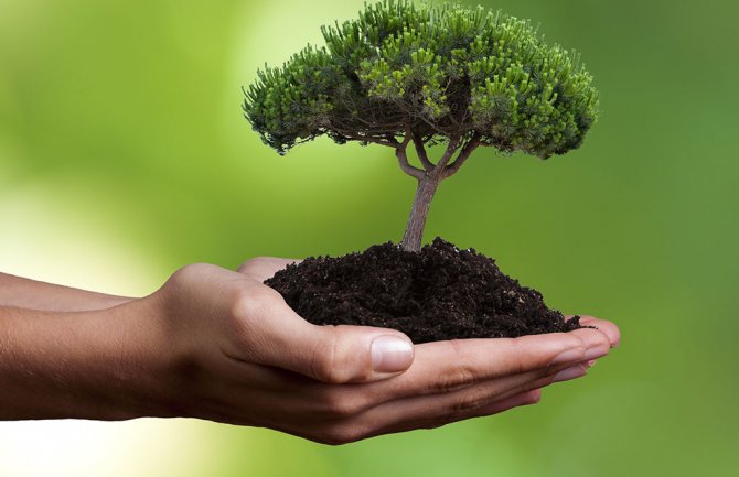 Osniva se Fond za zaštitu životne sredine