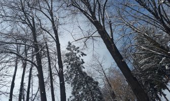 Oblačno i vjetrovito, na sjeveru snijeg