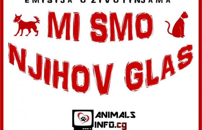 Mi smo njihov glas: Pomozite projekat posvećen životinjama