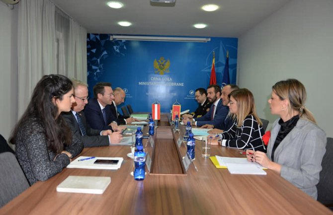 Formiranje Regionalnog centra za obuku planinskog ratovanja na teritoriji CG od izuzetne važnosti 