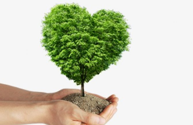 Crna Gora danas otvara poglavlje 27 - Životna sredina 