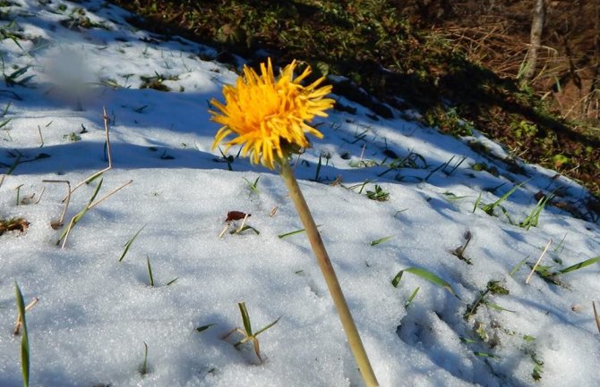 Danas bez padavina, do 14 stepeni