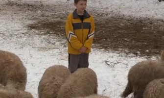 Od novca koji dobije za igračke i čokolade kupuje jagnjad, 9-godišnji Amer budući veliki farmer