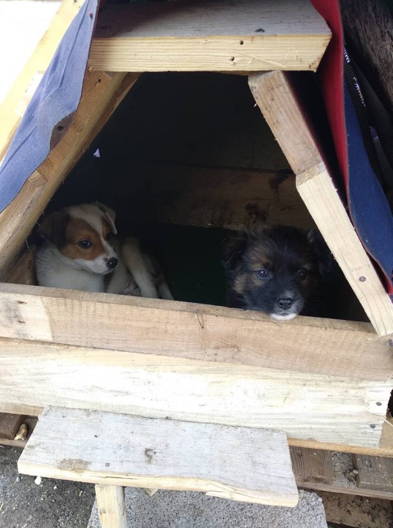 4840300722505474585517479091817162808492032n