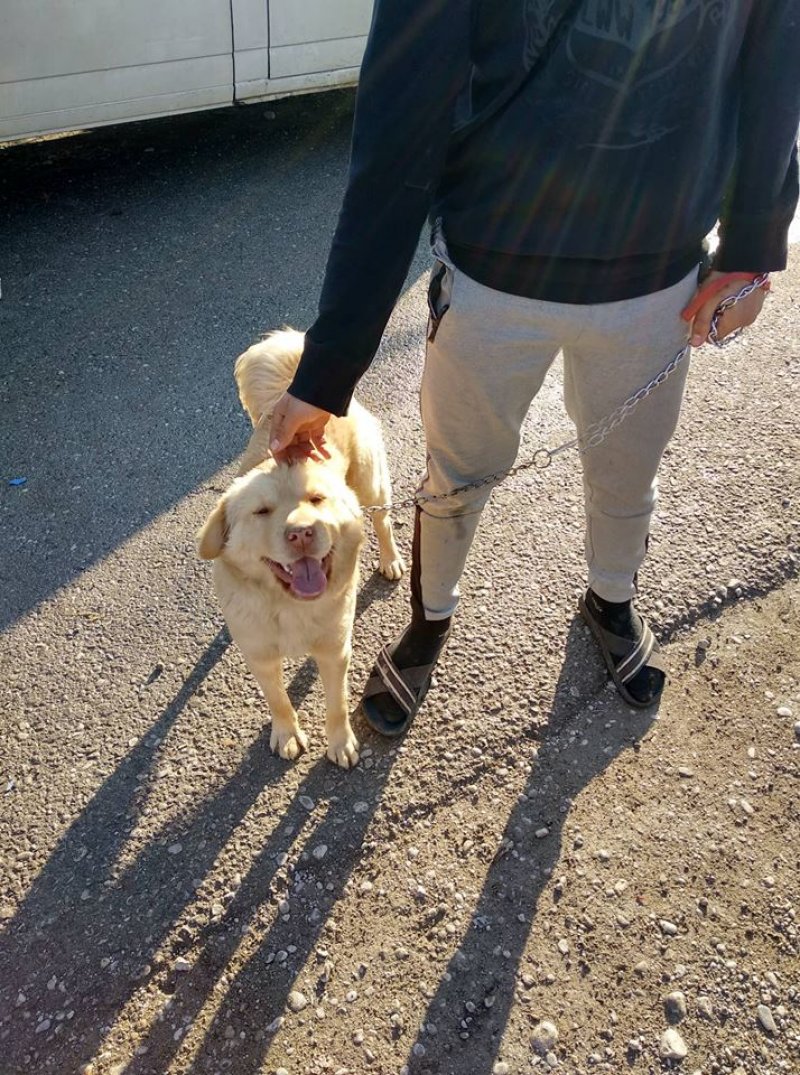 4842863222505477818850487121296518274875392n