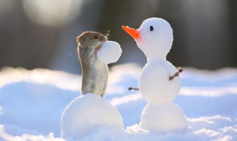 Danas bez padavina, sunčano, vjetar pojačan