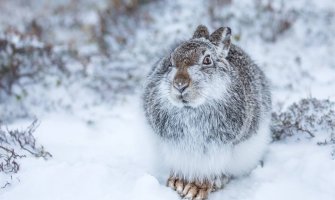 Danas bez padavina, temperatura od -2 do 15 stepeni