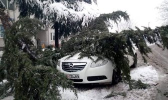 Podgorica: Snijeg obara drveće, komunalna policija izrekla 34 kazne zbog neodržavanja prilaza