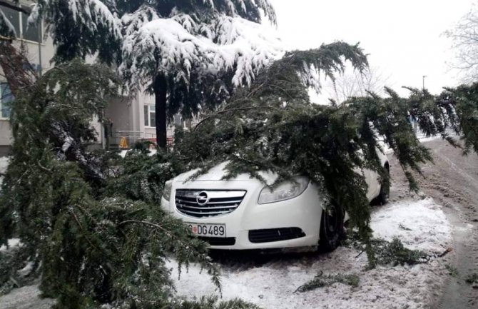Podgorica: Snijeg obara drveće, komunalna policija izrekla 34 kazne zbog neodržavanja prilaza