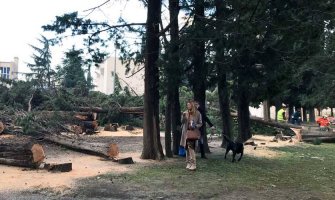 Bar: Čempresi posječeni,građani iznešeni sa gradilišta