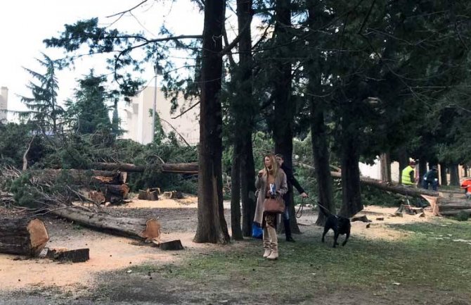 Bar: Čempresi posječeni,građani iznešeni sa gradilišta