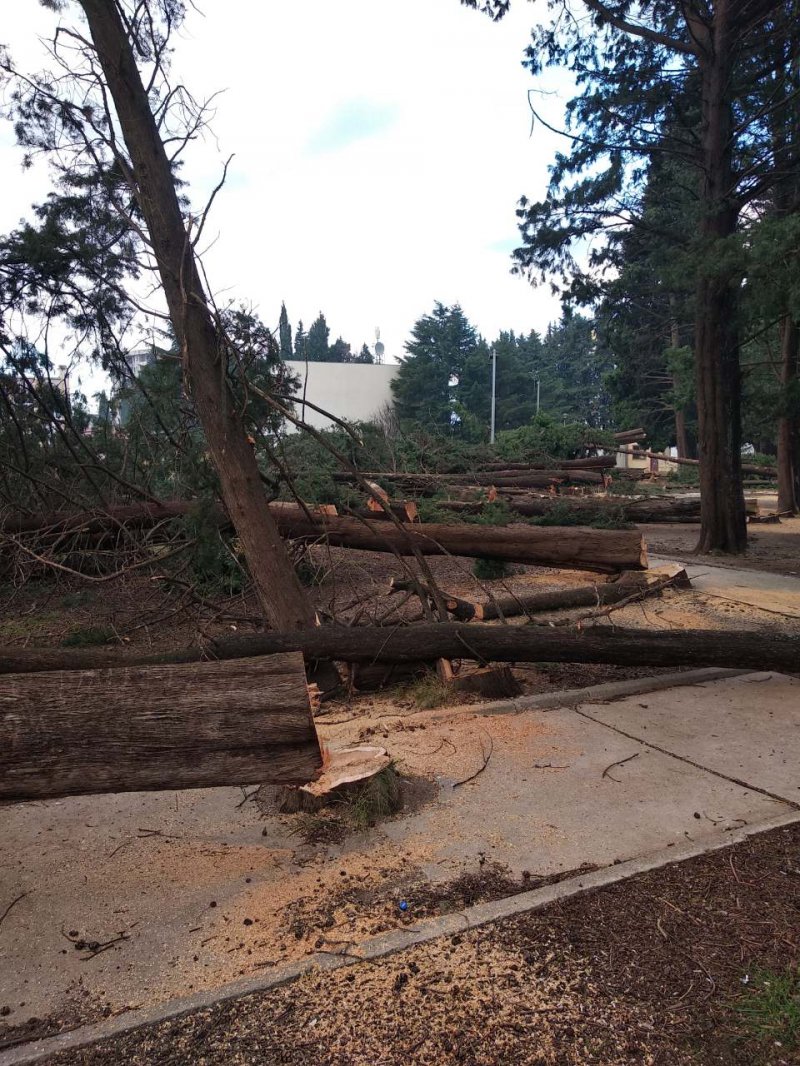 IMG04e066040d11ea265cacd31bc2c0a66cV