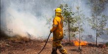 Rekordan toplotni talas u Australiji: Životinje umiru od vrućine, asfalt se topi (FOTO)