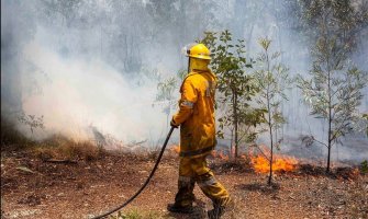 Rekordan toplotni talas u Australiji: Životinje umiru od vrućine, asfalt se topi (FOTO)