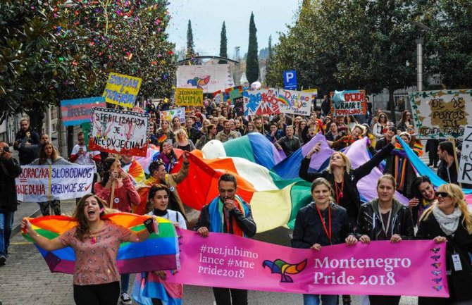 Raspisali poziv za članstvo u organizacionom Odboru sedmog Montenegro Prajda
