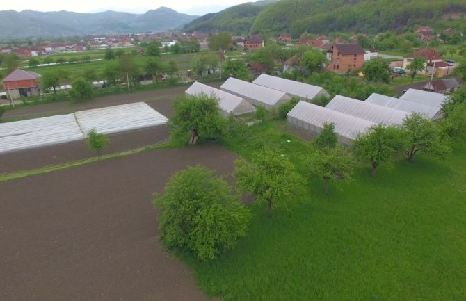 Bjelopoljac odustao od Njemačke i okrenuo se poljoprivredi: Ko hoće da radi, može ovdje dobro da živi