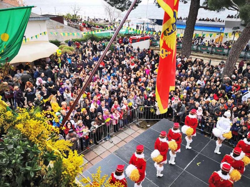 Festaodmimozeribeivina20196