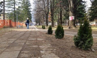 U Beranama vandalski uništeno zelenilo u parku