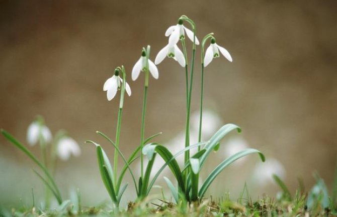 Evo kakvo nas vrijeme očekuje za dane vikenda