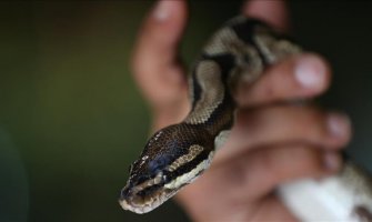 Indonezijska policija priznala da je koristila zmije tokom ispitivanja uhapšenih