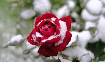 Narednih dana nestabilno, u nedelju na sjeveru moguć snijeg