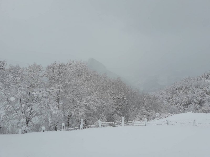 517363482361841506682334672867836148842496n