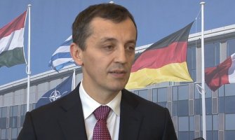 Bošković u Briselu: DF da se okrene sebi i svojim slabostima, a ne da pokušava da dođe na vlast bez volje naroda