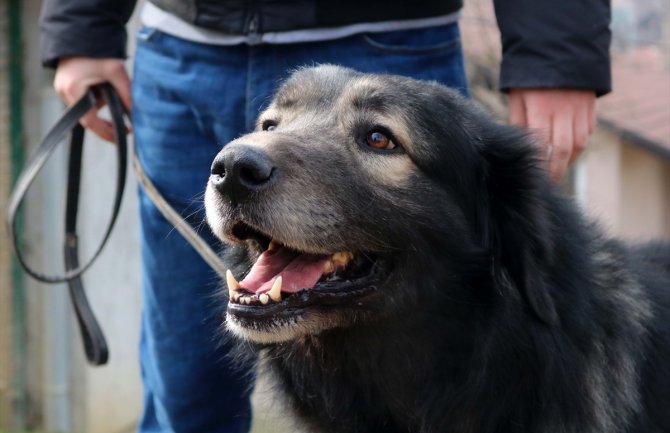 Kako je nepodmitljivi Paša završio kod Putina (FOTO)