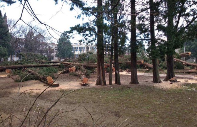 Raičević: Kad Marković zatraži odgovornost, povjerovaćemo da je prešao na stranu građana