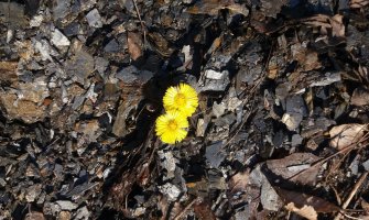 Sunčano, do 18 stepeni 