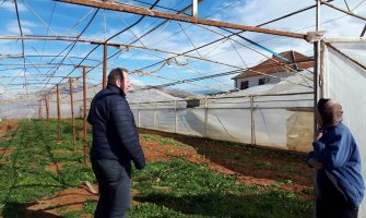 Orkanski vjetar oštetio plastenike i objekte za držanje stoke