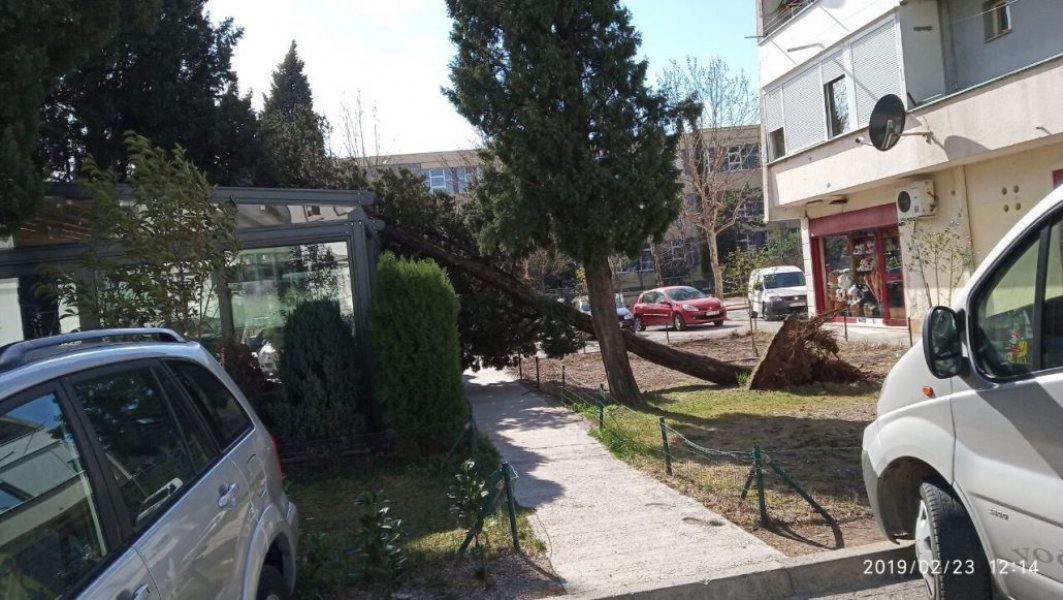 IMG0c7c00fdd267049afcb24328be9ba706V1030x581